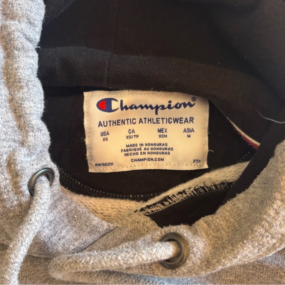 Champion Light Gray Men's Hoodie - Picture 3 of 5
